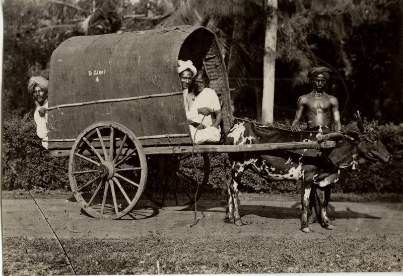 जानिए 150 साल पहले कैसी थी श्रीलंका के लोगों की ज़िंदगी, बेहद दुर्लभ हैं ये 10 तस्वीरें