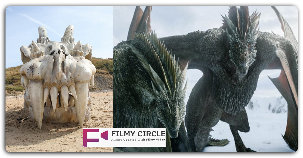 ब्रिटेन में समुद्र तट पर रेत में धंसी मिली ‘ड्रैगन खोपड़ी’, जानें क्या है इसका राज