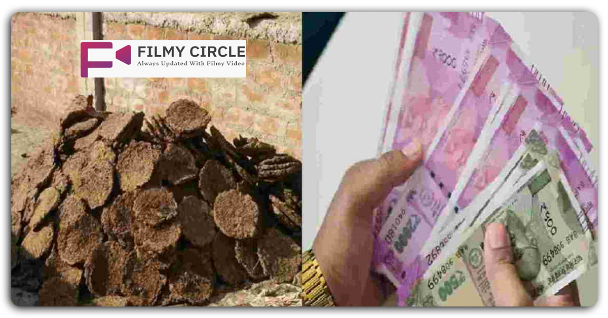 शख्स ने गोबर का व्यापार करके करोड़ों रुपये कमा लिये, ये गोबर के बने 70 से अधिक उत्पाद बेचते हैं